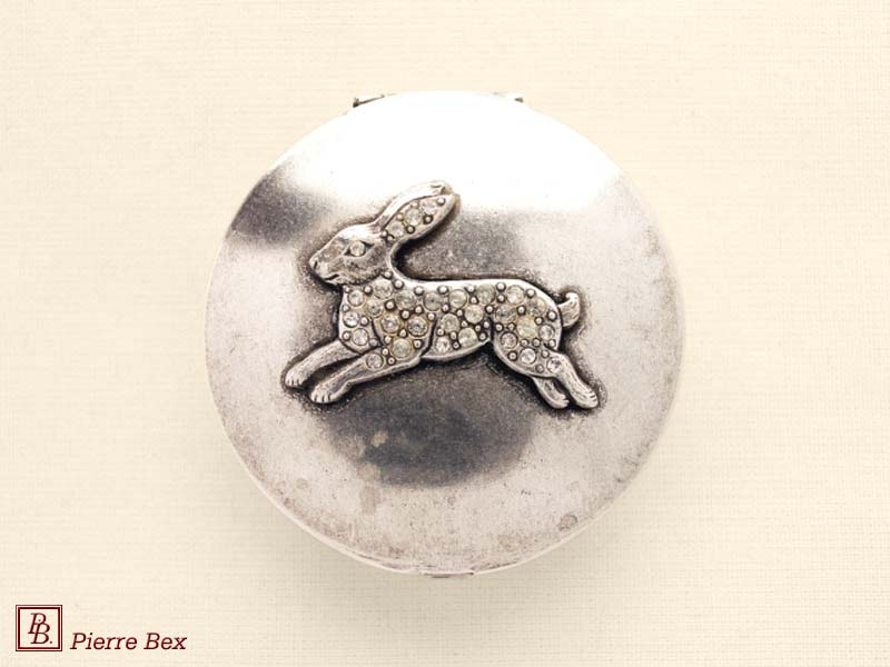 Pierre Bex Caja con strass conejo 45899-14